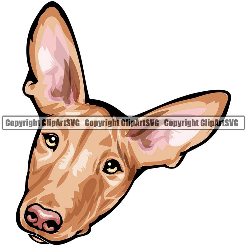 Pharaoh Hound Dog Breed Head Color ClipArt SVG