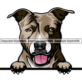 Pit Bull Terrier Dog Breed Peeking Color ClipArt SVG