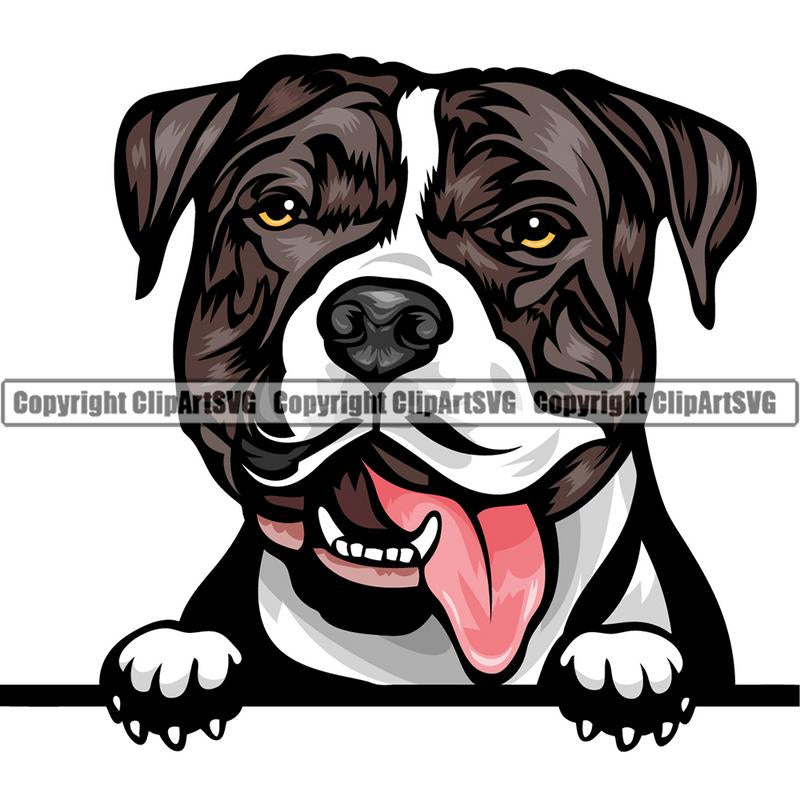 Pit Bull Terrier Dog Breed Peeking Color ClipArt SVG
