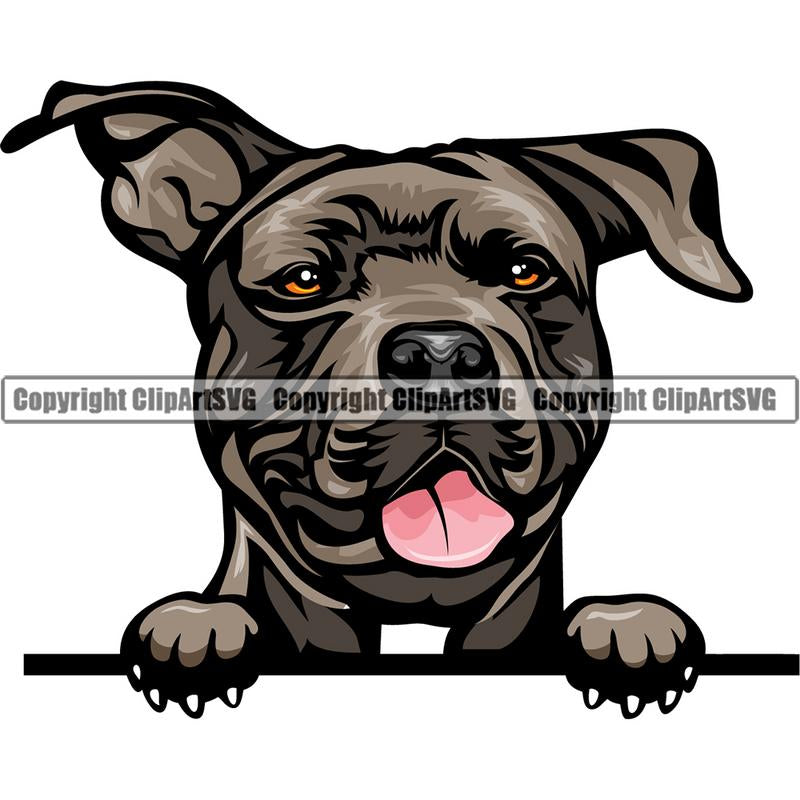 Pit Bull Terrier Dog Breed Peeking Color ClipArt SVG