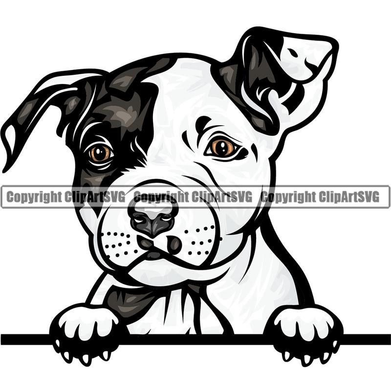 Pit Bull Terrier Dog Breed Peeking Color ClipArt SVG