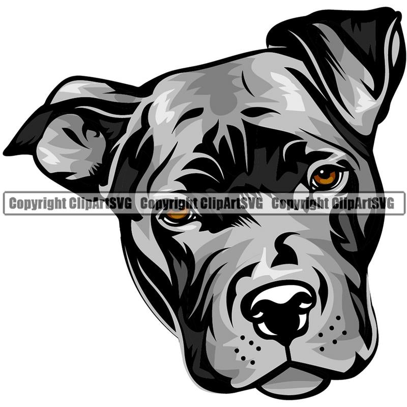 Pit Bull Terrier Dog Breed Head Color ClipArt SVG