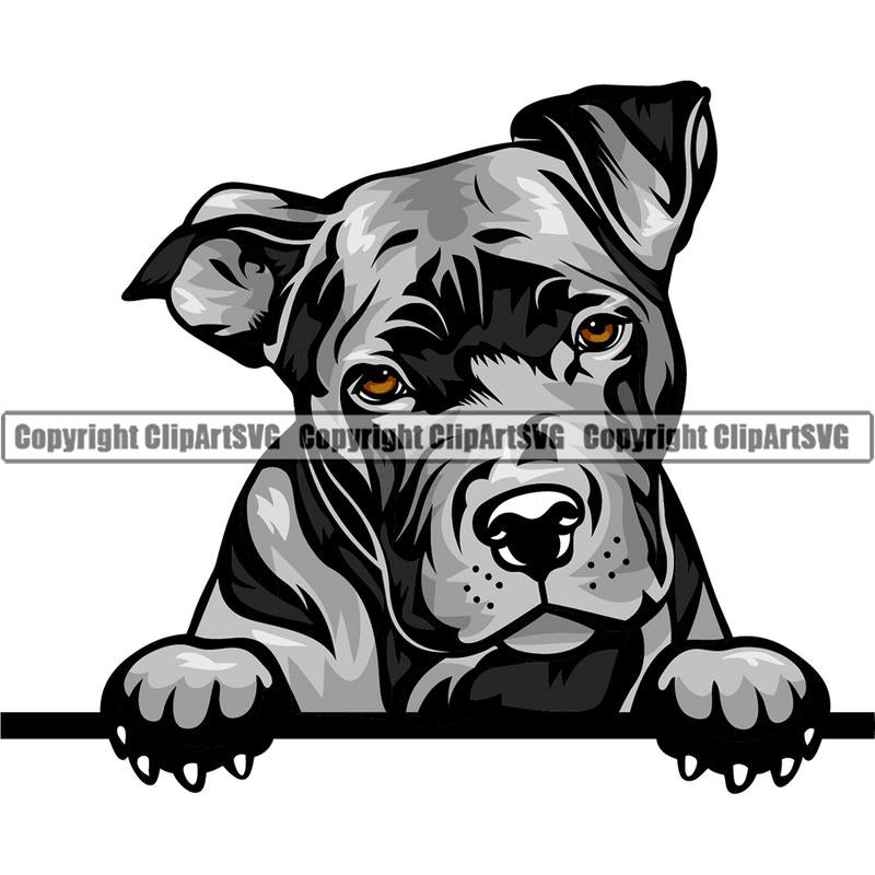 Pit Bull Terrier Dog Breed Peeking Color ClipArt SVG