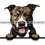Pit Bull Terrier Dog Breed Peeking Color ClipArt SVG