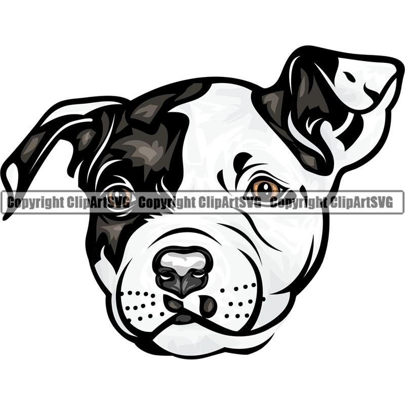 Pit Bull Terrier Dog Breed Head Color ClipArt SVG