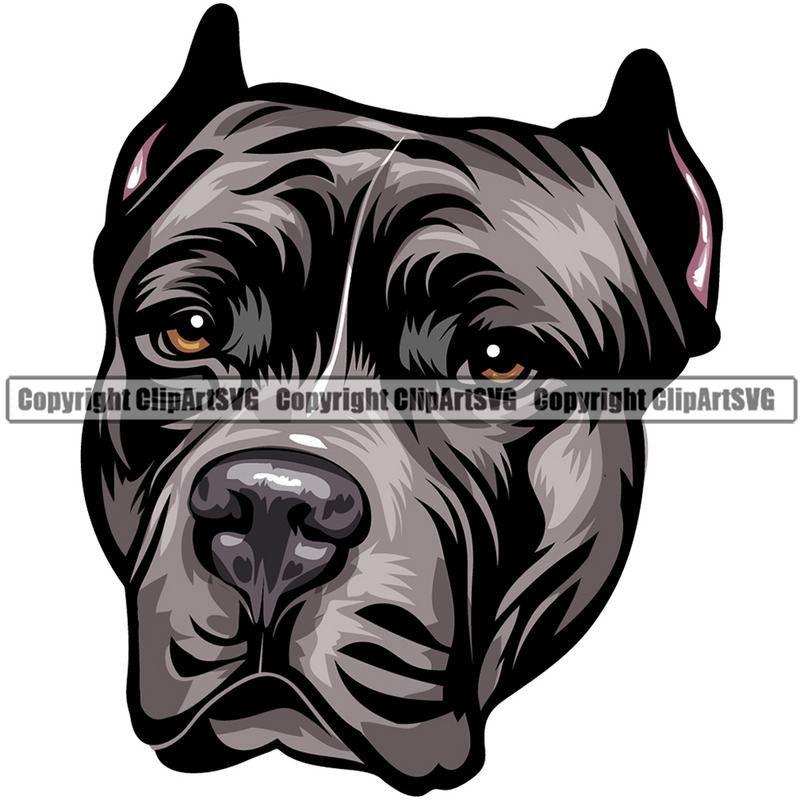 Pit Bull Terrier Dog Breed Head Color ClipArt SVG