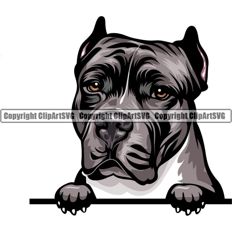 Pit Bull Terrier Dog Breed Peeking Color ClipArt SVG