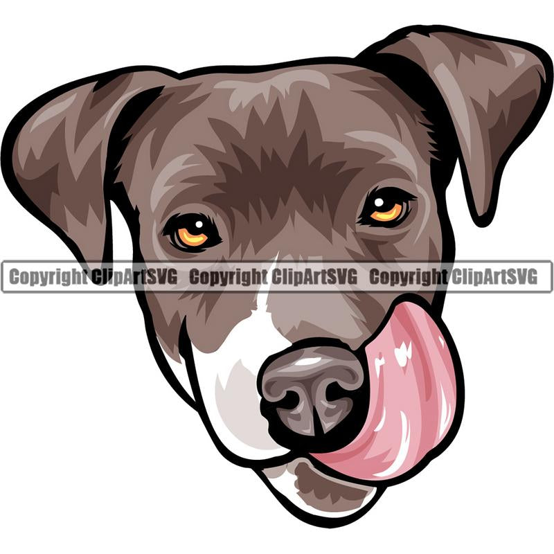Pit Bull Terrier Dog Breed Head Color ClipArt SVG
