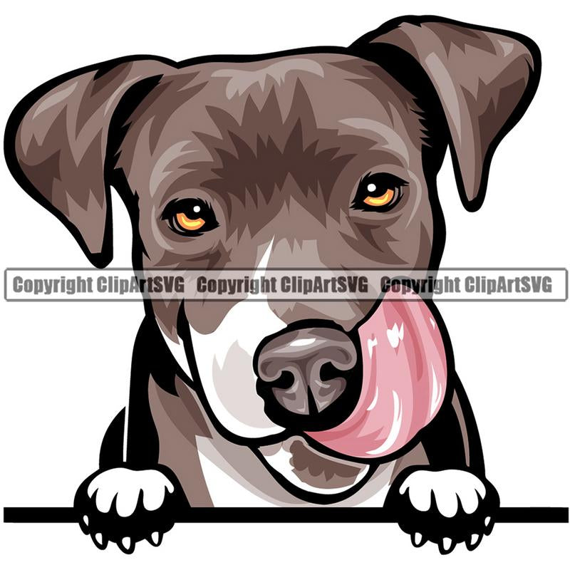 Pit Bull Terrier Dog Breed Peeking Color ClipArt SVG