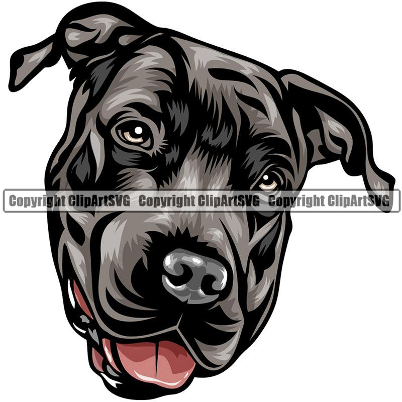 Pit Bull Terrier Dog Breed Head Color ClipArt SVG