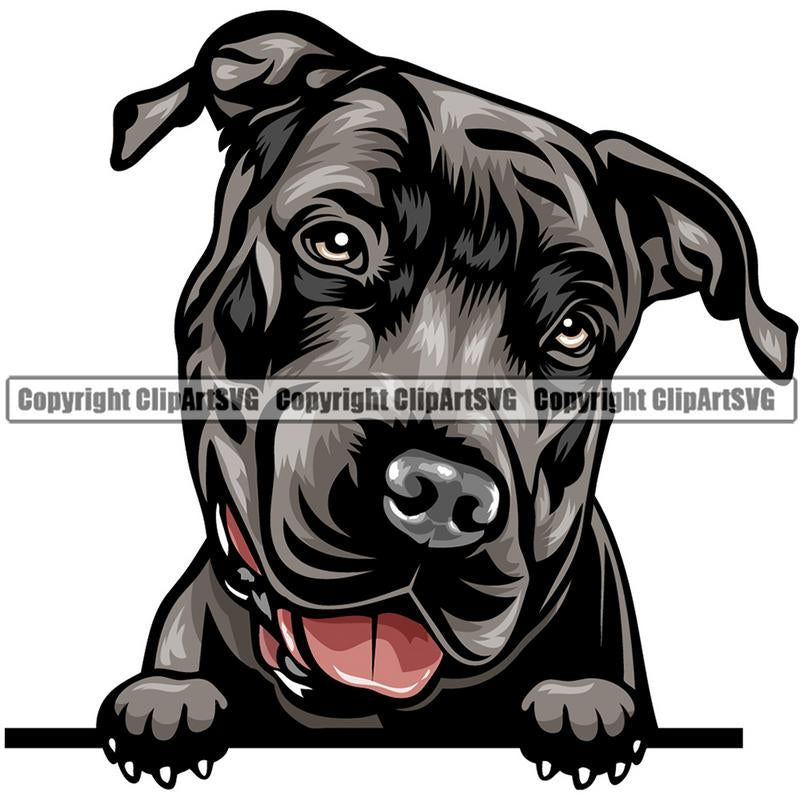 Pit Bull Terrier Dog Breed Peeking Color ClipArt SVG
