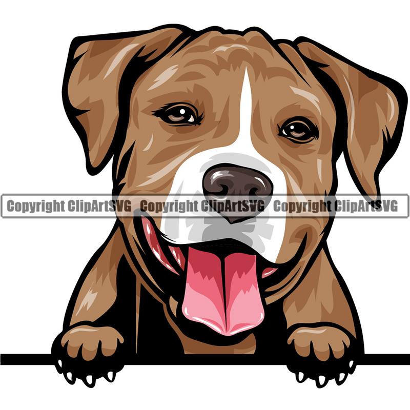 Pit Bull Terrier Dog Breed Peeking Color ClipArt SVG
