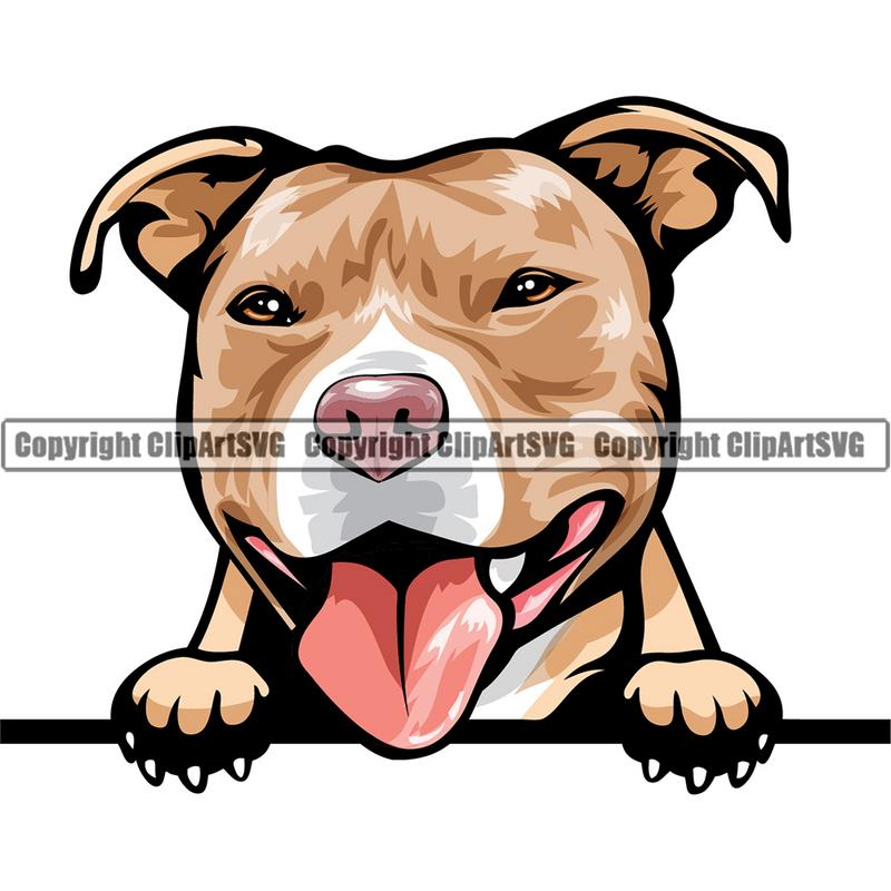 Pit Bull Terrier Dog Breed Peeking Color ClipArt SVG