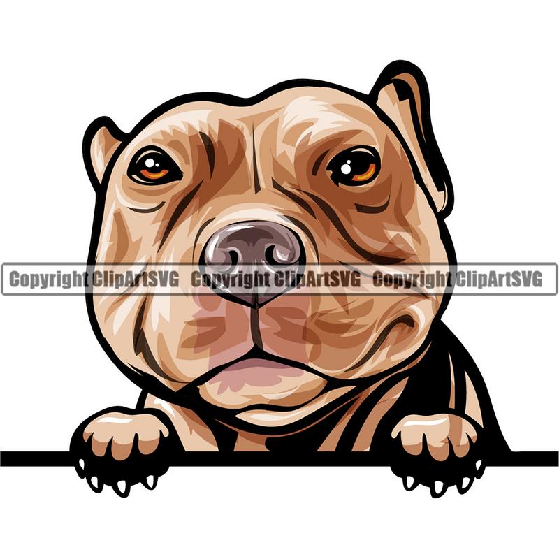Pit Bull Terrier Dog Breed Peeking Color ClipArt SVG