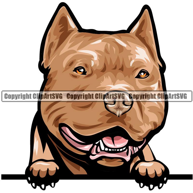 Pit Bull Terrier Dog Breed Peeking Color ClipArt SVG