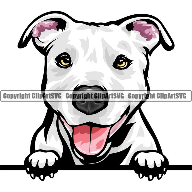 Pit Bull Terrier Dog Breed Peeking Color ClipArt SVG