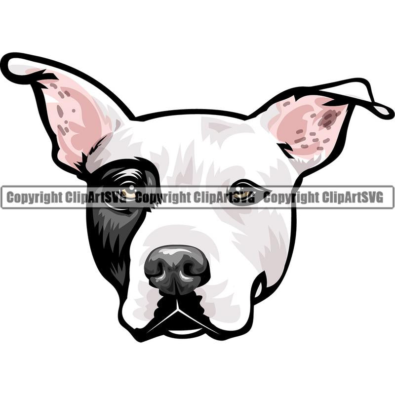 Pit Bull Terrier Dog Breed Head Color ClipArt SVG