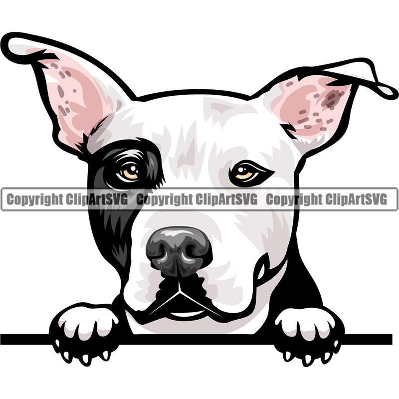 Pit Bull Terrier Dog Breed Peeking Color ClipArt SVG