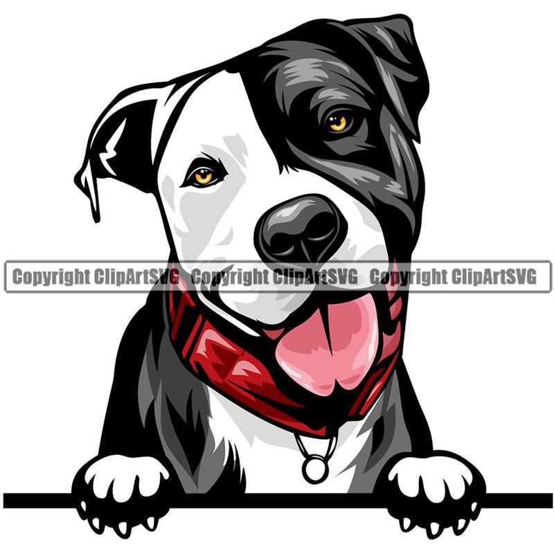 Pit Bull Terrier Dog Breed Peeking Color ClipArt SVG