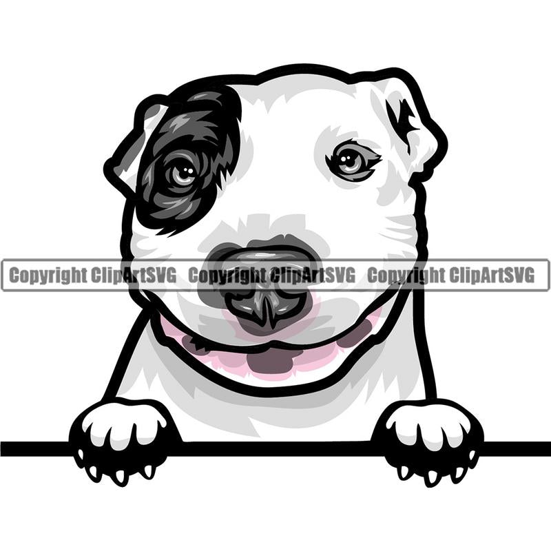 Pit Bull Terrier Dog Breed Peeking Color ClipArt SVG