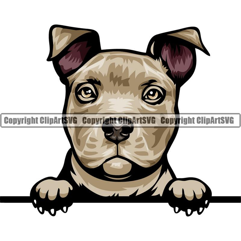 Pit Bull Terrier Dog Breed Peeking Color ClipArt SVG