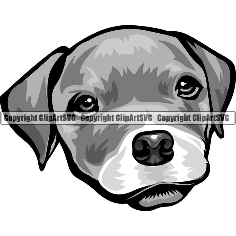 Pit Bull Terrier Dog Breed Head Color ClipArt SVG