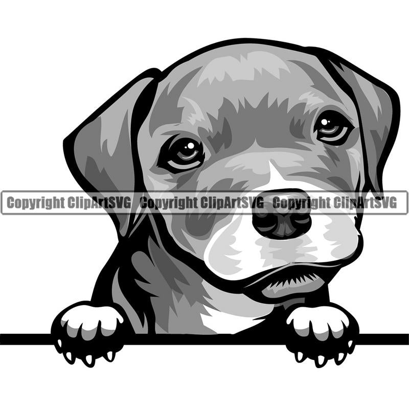 Pit Bull Terrier Dog Breed Peeking Color ClipArt SVG