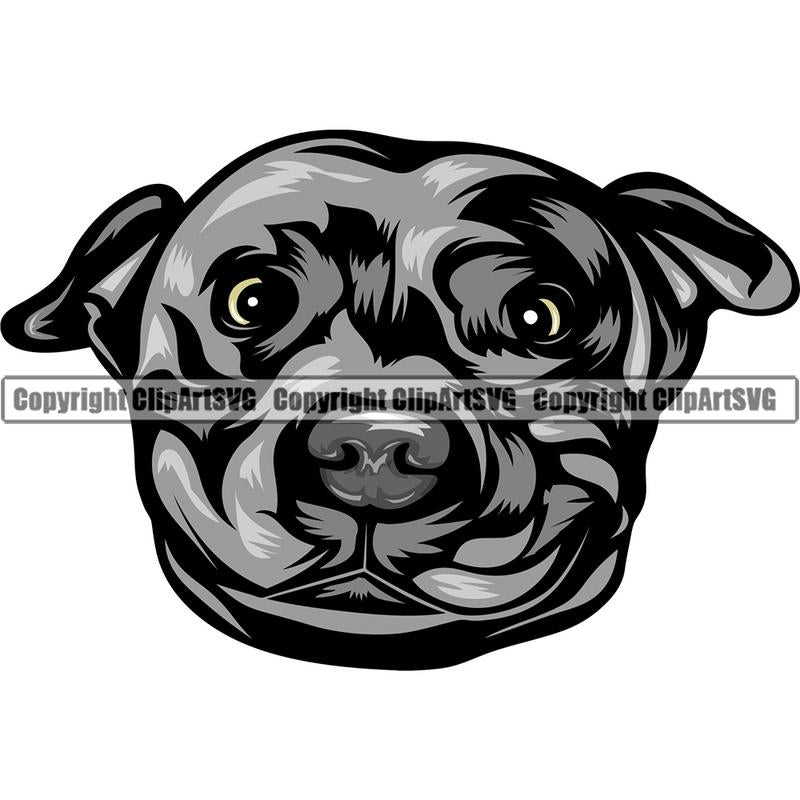 Pit Bull Terrier Dog Breed Head Color ClipArt SVG