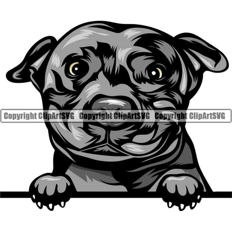 Pit Bull Terrier Dog Breed Peeking Color ClipArt SVG