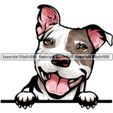Pit Bull Terrier Dog Breed Peeking Color ClipArt SVG