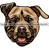 Pit Bull Terrier Dog Breed Head Color ClipArt SVG