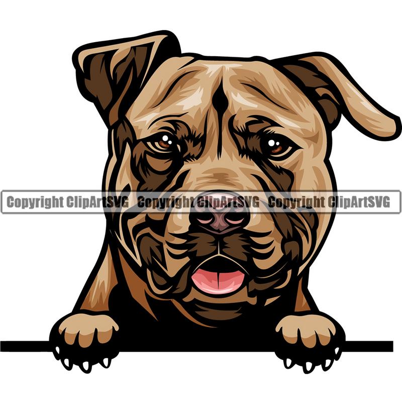 Pit Bull Terrier Dog Breed Peeking Color ClipArt SVG