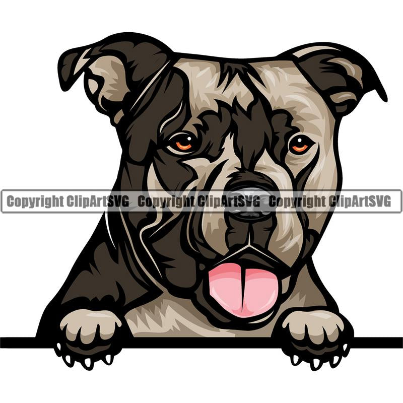 Pit Bull Terrier Dog Breed Peeking Color ClipArt SVG