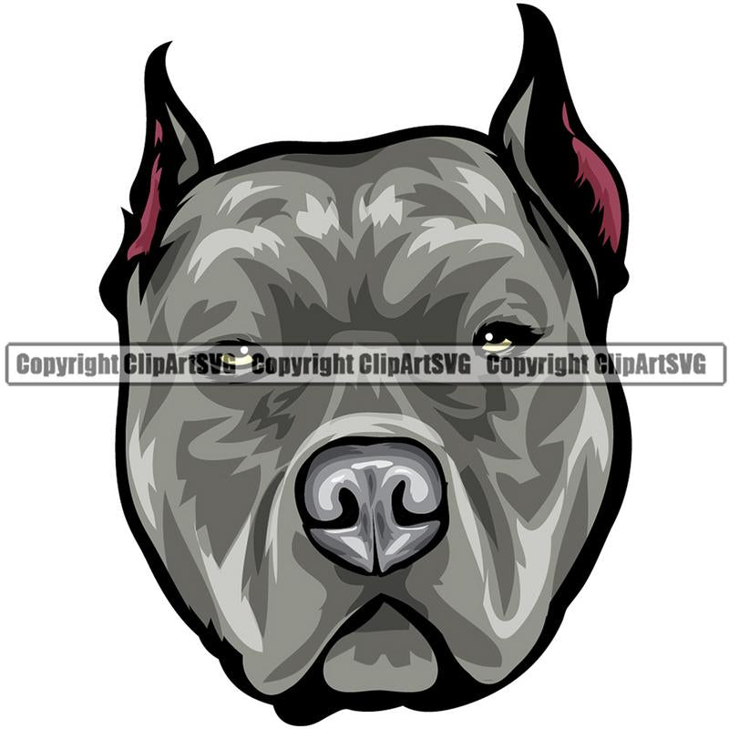 Pit Bull Terrier Dog Breed Head Color ClipArt SVG