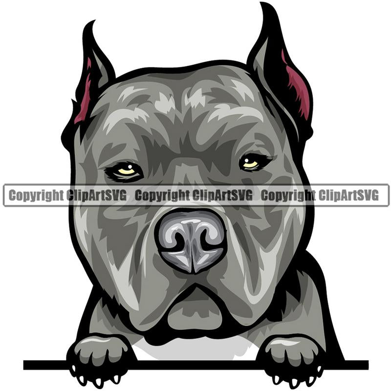 Pit Bull Terrier Dog Breed Peeking Color ClipArt SVG