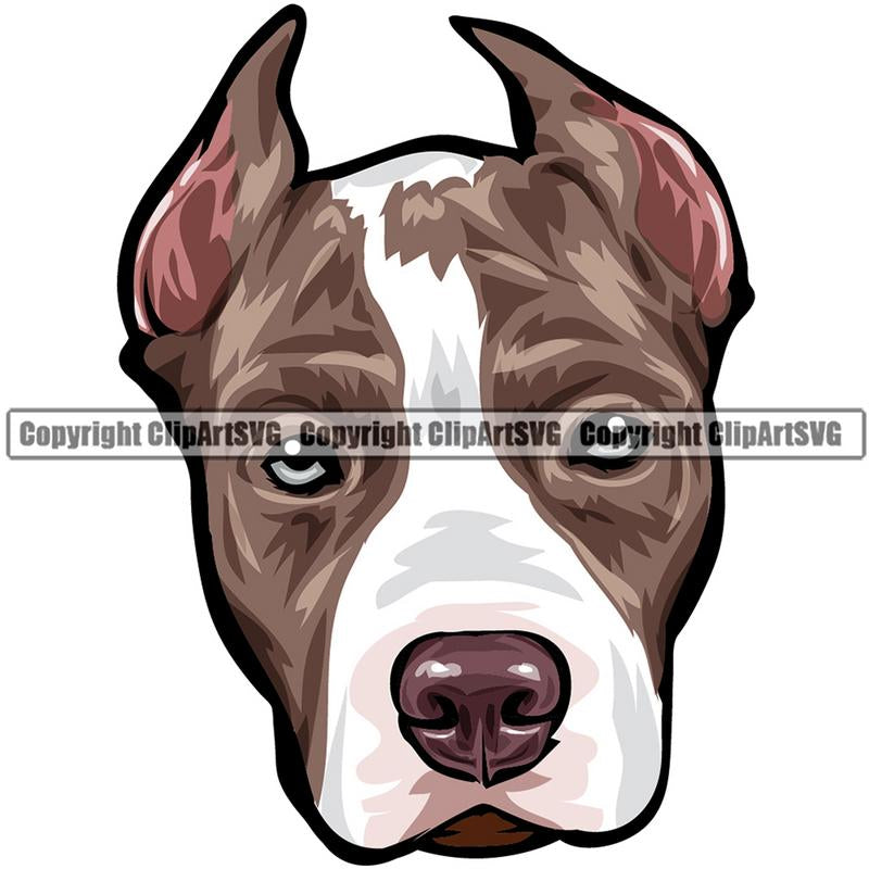 Pit Bull Terrier Dog Breed Head Color ClipArt SVG