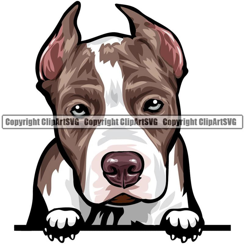 Pit Bull Terrier Dog Breed Peeking Color ClipArt SVG