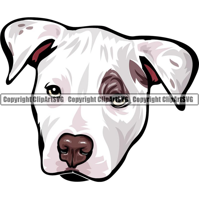 Pit Bull Terrier Dog Breed Head Color ClipArt SVG