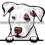 Pit Bull Terrier Dog Breed Peeking Color ClipArt SVG