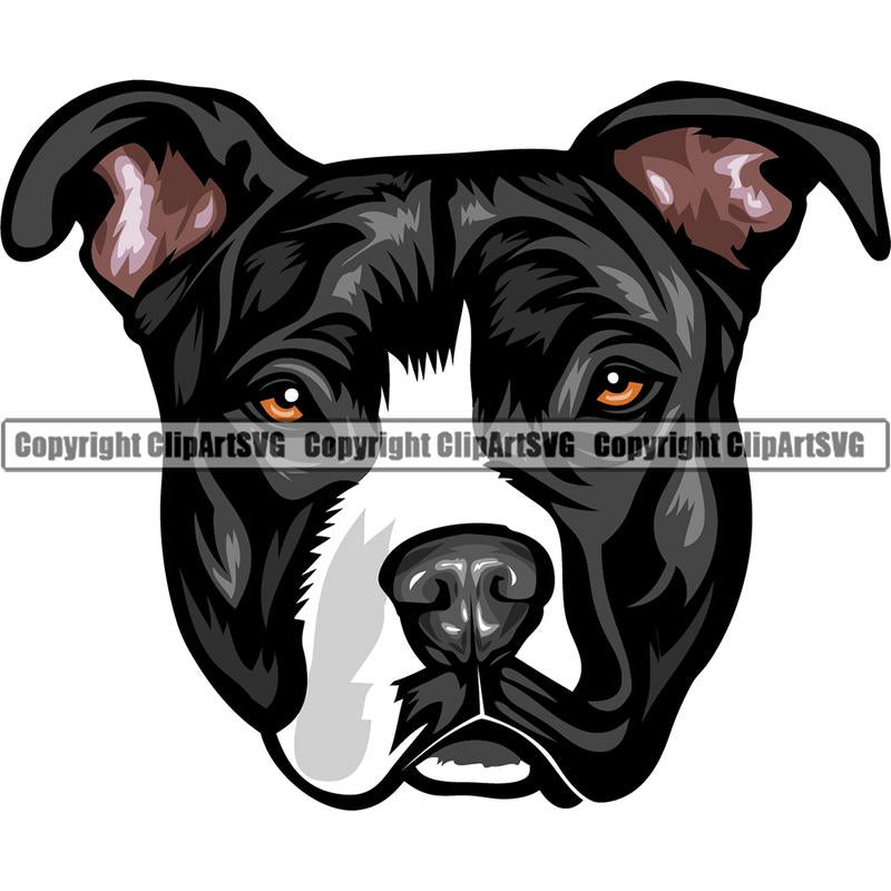 Pit Bull Terrier Dog Breed Head Color ClipArt SVG