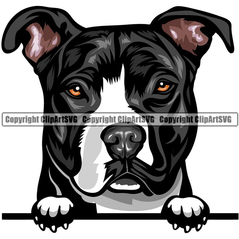 Pit Bull Terrier Dog Breed Peeking Color ClipArt SVG