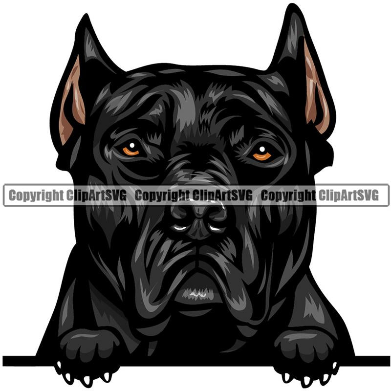 Pit Bull Terrier Dog Breed Peeking Color ClipArt SVG