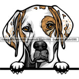 Pointer Dog Breed Peeking Color ClipArt SVG
