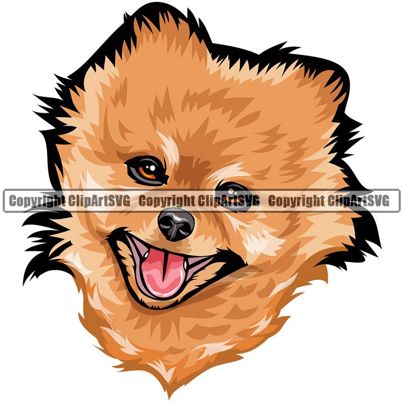 Pomeranian Dog Breed Head Color ClipArt SVG