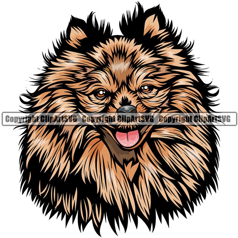 Pomeranian Dog Breed Head Color ClipArt SVG