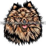 Pomeranian Dog Breed Head Color ClipArt SVG