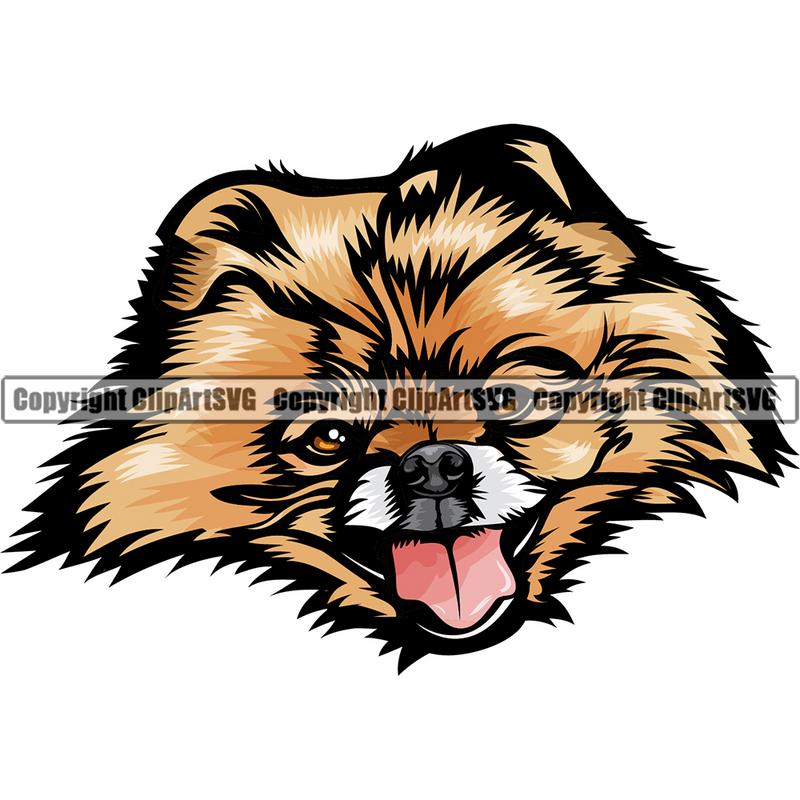 Pomeranian Dog Breed Head Color ClipArt SVG