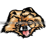 Pomeranian Dog Breed Head Color ClipArt SVG