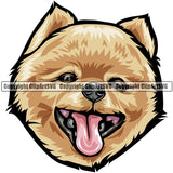 Pomeranian Dog Breed Head Color ClipArt SVG