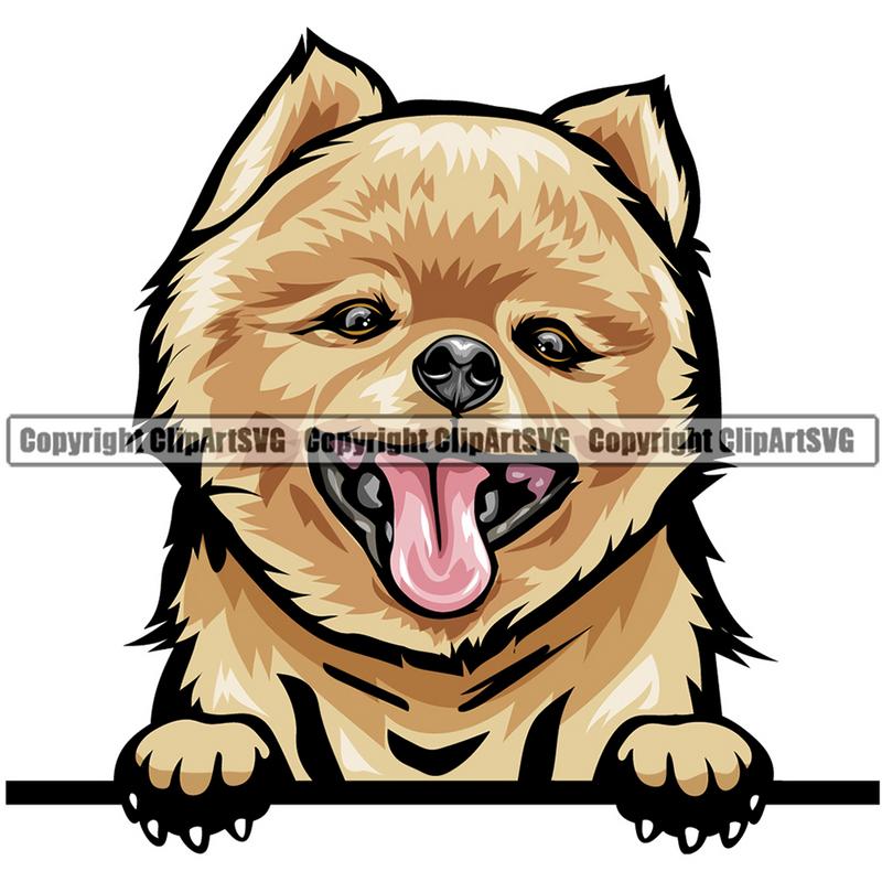 Pomeranian Dog Breed Peeking Color ClipArt SVG